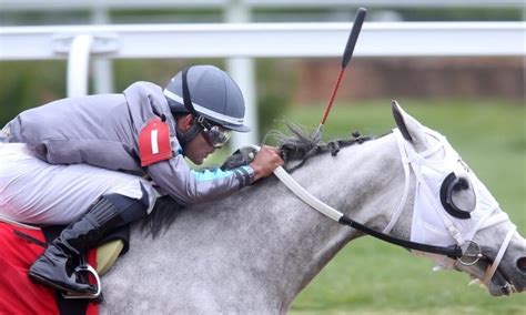 2023 Kentucky Derby: Best Superfecta Bets, Picks & Predictions.